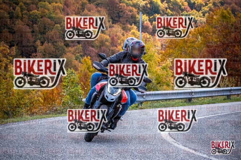 Forca d Acero 19-10-25 h13-12 2302