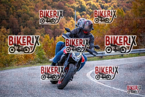 Forca d Acero 19-10-25 h13-12 2303