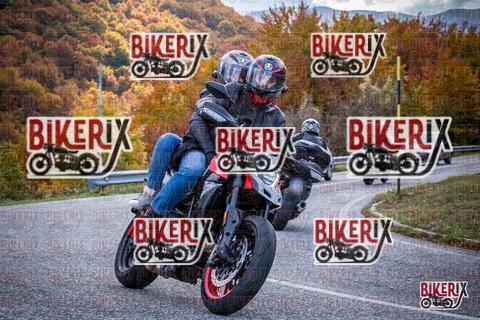 Forca d Acero 19-10-25 h13-12 2304