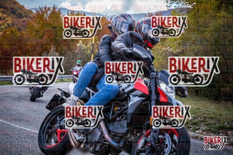 Forca d Acero 19-10-25 h13-12 2305