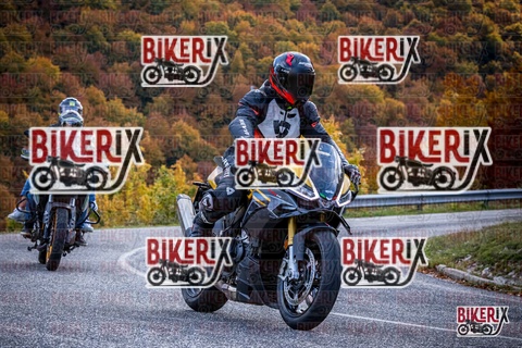 Forca d Acero 19-10-25 h13-13 2308