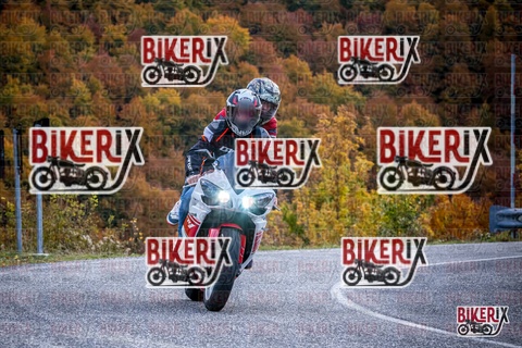 Forca d Acero 19-10-25 h13-13 2310