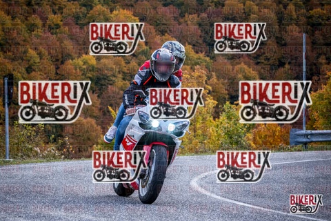 Forca d Acero 19-10-25 h13-13 2311