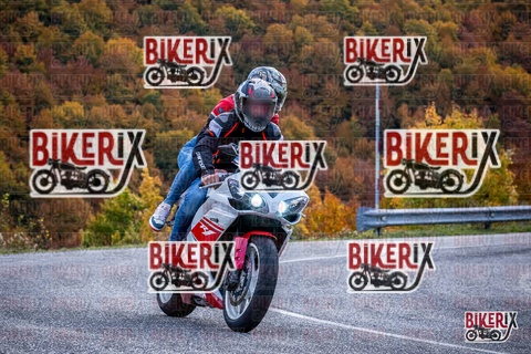 Forca d Acero 19-10-25 h13-13 2312