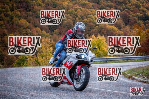 Forca d Acero 19-10-25 h13-13 2313