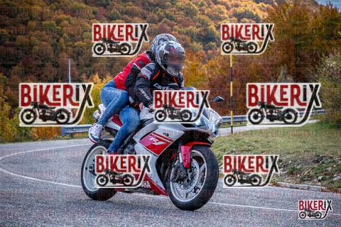 Forca d Acero 19-10-25 h13-13 2314