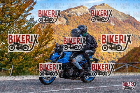 Forca d Acero 19-10-25 h13-13 2318