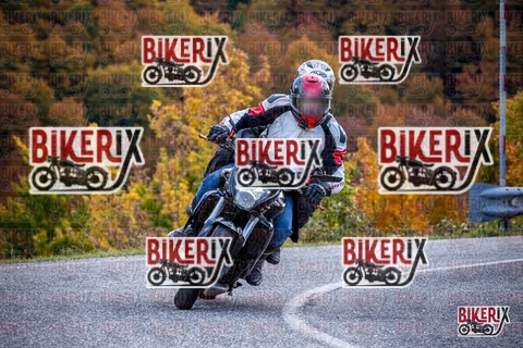 Forca d Acero 19-10-25 h13-13 2319