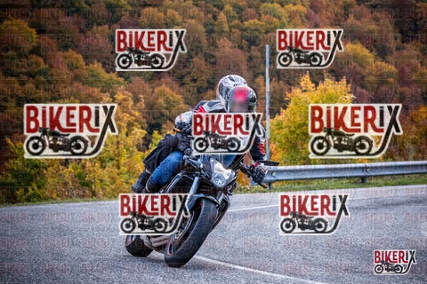 Forca d Acero 19-10-25 h13-13 2321