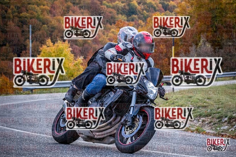 Forca d Acero 19-10-25 h13-13 2322