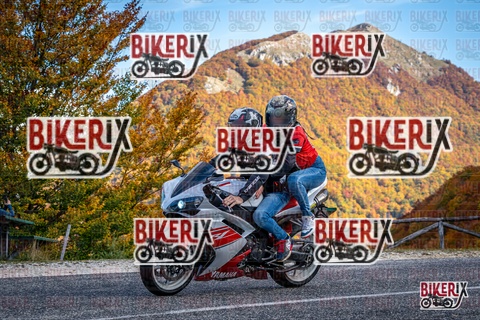 Forca d Acero 19-10-25 h13-13 2326