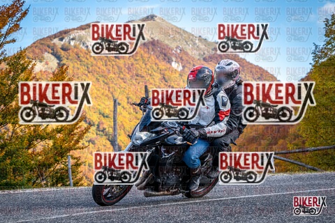 Forca d Acero 19-10-25 h13-13 2327