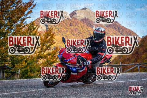 Forca d Acero 19-10-25 h13-14 2341