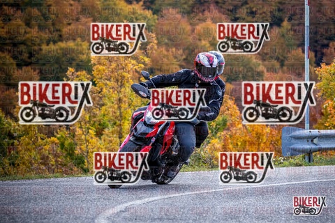 Forca d Acero 19-10-25 h13-14 2344