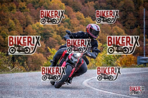 Forca d Acero 19-10-25 h13-14 2347