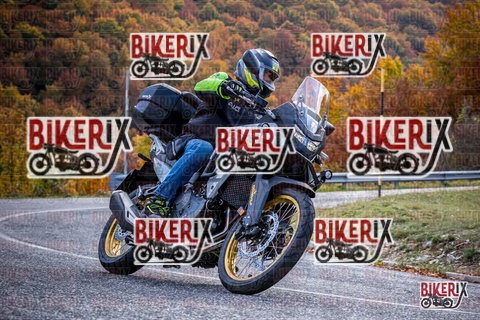 Forca d Acero 19-10-25 h13-15 2354