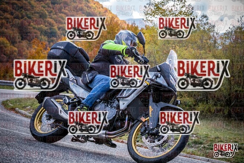 Forca d Acero 19-10-25 h13-15 2355