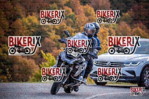 Forca d Acero 19-10-25 h13-15 2359