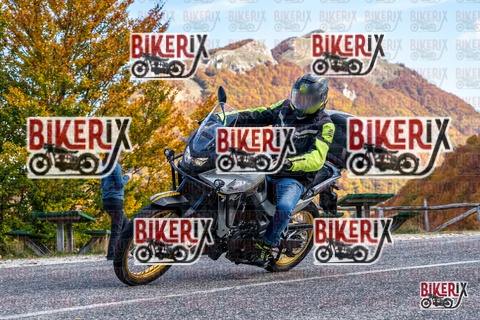 Forca d Acero 19-10-25 h13-15 2363