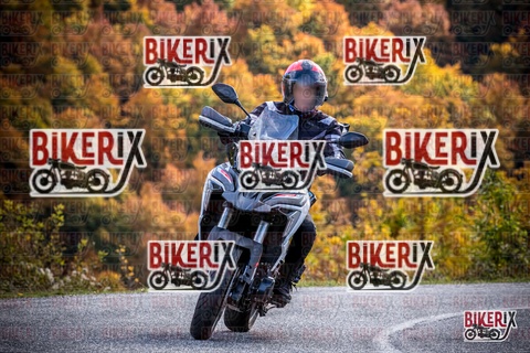 Forca d Acero 19-10-25 h13-15 2367