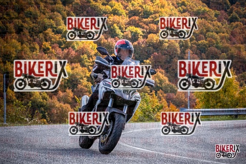 Forca d Acero 19-10-25 h13-15 2369