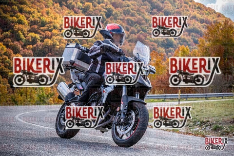 Forca d Acero 19-10-25 h13-15 2370