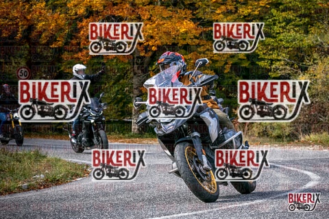 Forca d Acero 19-10-25 h13-16 2372