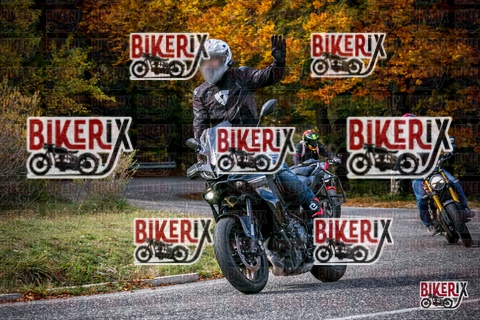 Forca d Acero 19-10-25 h13-16 2376