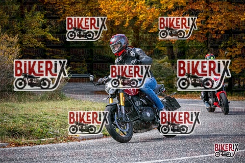 Forca d Acero 19-10-25 h13-16 2378