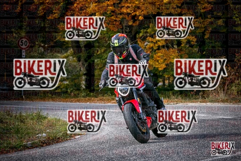 Forca d Acero 19-10-25 h13-16 2379