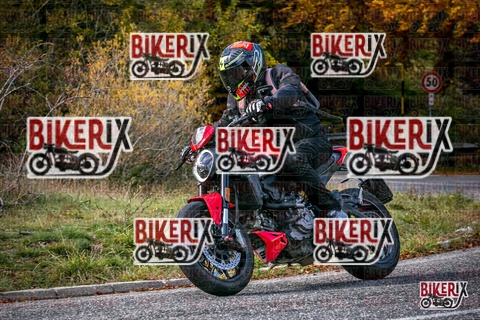 Forca d Acero 19-10-25 h13-16 2381