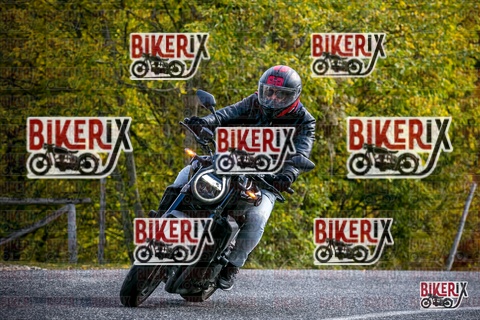 Forca d Acero 19-10-25 h13-17 2388