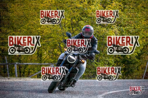 Forca d Acero 19-10-25 h13-17 2389