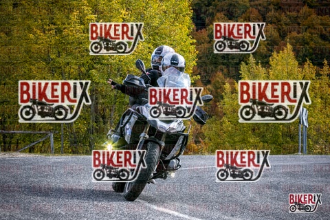 Forca d Acero 19-10-25 h13-18 2391