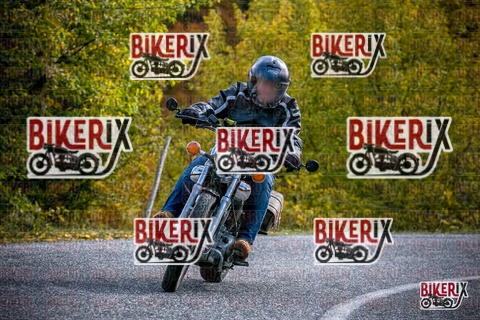 Forca d Acero 19-10-25 h13-18 2395