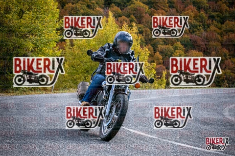 Forca d Acero 19-10-25 h13-18 2401