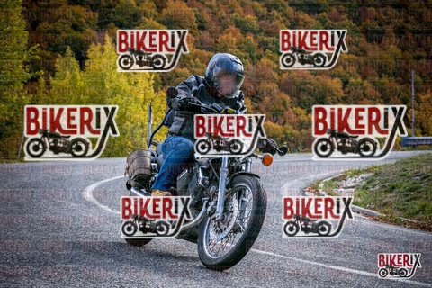 Forca d Acero 19-10-25 h13-18 2402