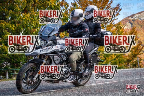 Forca d Acero 19-10-25 h13-18 2403