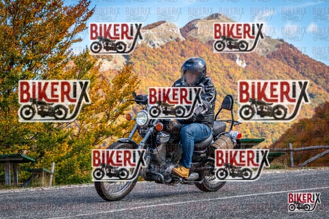 Forca d Acero 19-10-25 h13-18 2404