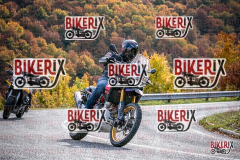 Forca d Acero 19-10-25 h13-19 2409