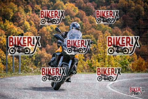 Forca d Acero 19-10-25 h13-19 2410