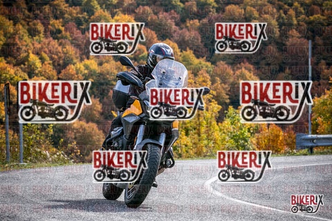 Forca d Acero 19-10-25 h13-19 2411