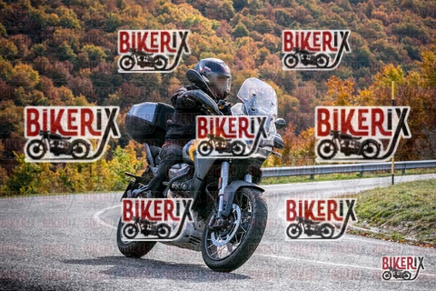 Forca d Acero 19-10-25 h13-19 2413