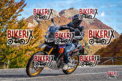 Forca d Acero 19-10-25 h13-19 2414