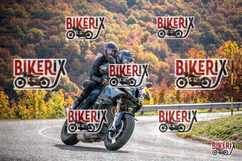 Forca d Acero 19-10-25 h13-19 2424