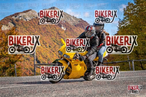 Forca d Acero 19-10-25 h13-19 2426