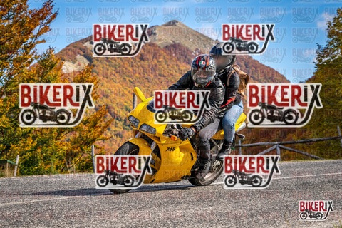 Forca d Acero 19-10-25 h13-19 2427