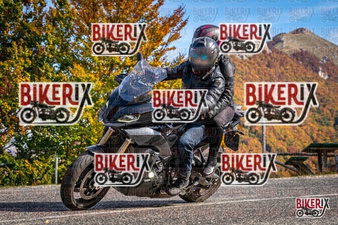 Forca d Acero 19-10-25 h13-19 2430