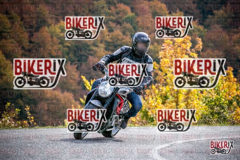 Forca d Acero 19-10-25 h13-19 2431