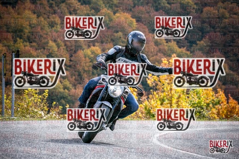 Forca d Acero 19-10-25 h13-19 2433